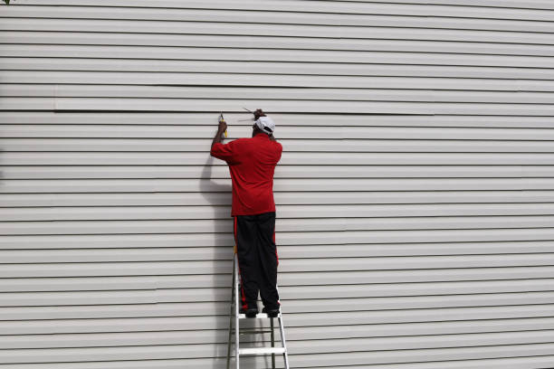 Best Siding Painting and Refinishing  in Moss Point, MS